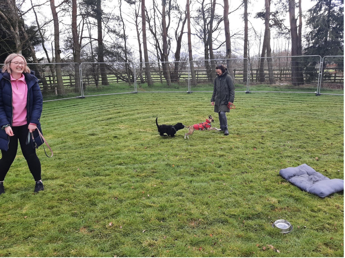 About Jenny Hunter Dog Training